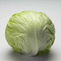 Lechuga