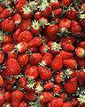 Fresas