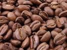 El cultivo de café orgánico