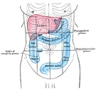 Qué es el colon irritable