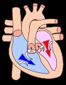 Cálculo de riesgo para enfermedad del corazón