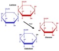 Estructura de la lactosa